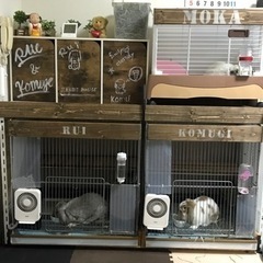 こんなサークルもいいと思いませんか😁