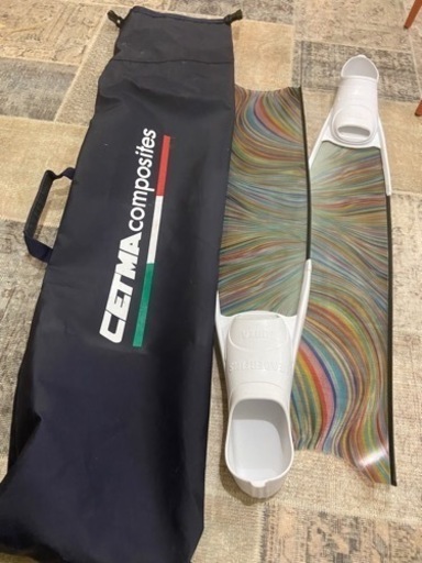 リーダーフィン