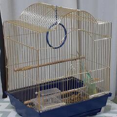インコちゃん − 大阪府
