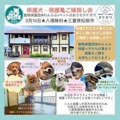 保護犬保護亀★ご縁探し会