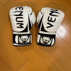 10ozグローブ　VENUM