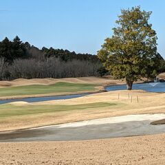 シーズンイン　ゴルフ仲間募集 - スポーツ