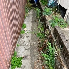 便利屋業務全般の画像