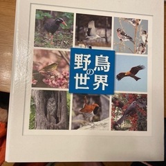 野鳥の世界の画像