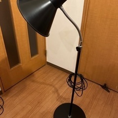 植物用ライト