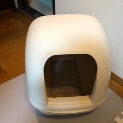 猫　トイレと猫砂の画像
