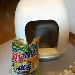 猫　トイレと猫砂の画像