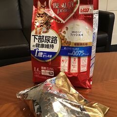 キャットフード〜3/15 ビューティープロ　下部尿路の健康維持 ...