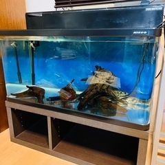 ☆90cm規格水槽セット☆ニッソー☆曲げガラス☆