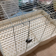 うさぎ用ケージ、サークル、エアグルーム、パネルヒーター、リュック