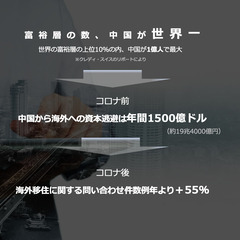 中華圏投資家向けに特化した次世代投資エジェントファームを作りたい！ - 千代田区