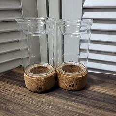 サボテン・球根・水耕栽培用花瓶