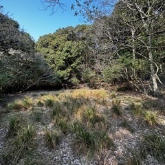 キャンパー必見‼️角島近くでキャンプはいかが⁇