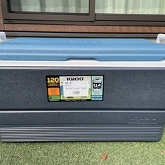 igloo イグルーマックスコールド　１００ＱＴ