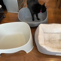 猫トイレ2個 ベッド