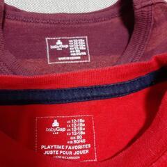 gap 80 ロンT セットの画像