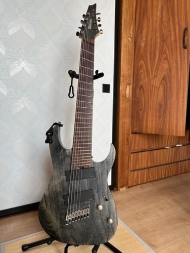 弦楽器、ギター Ibanez RGIF8