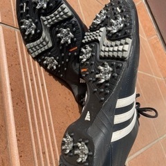 ゴルフシューズの画像