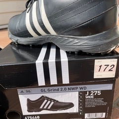 ゴルフシューズの画像