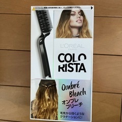 ブリーチ　ロレアル 