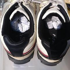 ゴルフシュース紐。💦24.5cm～25❓️の画像