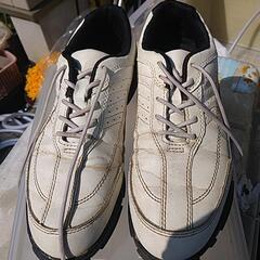 ゴルフシュース紐。💦24.5cm～25❓️の画像