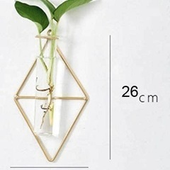 【受渡し予定者決定済み】壁掛け花瓶（ガラス管）無料でお譲りします