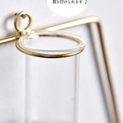 【受渡し予定者決定済み】壁掛け花瓶（ガラス管）無料でお譲りしますの画像
