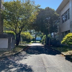 合気道みこと(門前仲町、越中島、月島)の画像