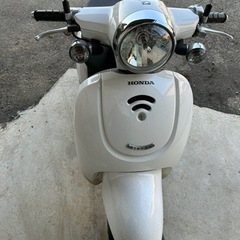ジョルノ　白