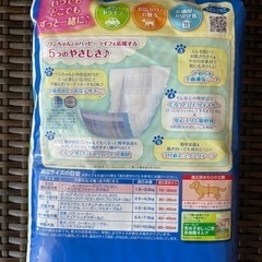 超小型犬用オムツSSSサイズ(男の子用)の画像