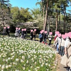 🌺楽しい散策コン in 新宿御苑🍃趣味別のイベント開催中！🌺
