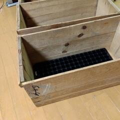 りんご箱　3個　プラグトレーの画像