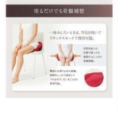 美品!!芦屋美整体 骨盤スリムスタイルクッション
の画像
