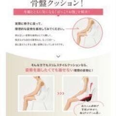 美品!!芦屋美整体 骨盤スリムスタイルクッション
の画像