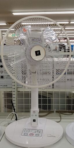 ★ジモティ割あり★ SHARP 扇風機   動作確認／クリーニング済み TJ205