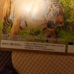 お話し中↬❥那須どうぶつ王国　プレミアム割引券の画像