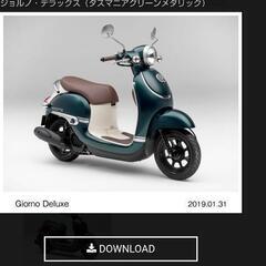 ホンダ⭐️ジョルノデラックス