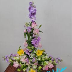 3月いきセン上鳥羽北部フラワーサークルの画像