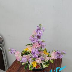 3月いきセン上鳥羽北部フラワーサークルの画像