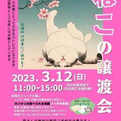 ねこ縁結びの会  譲渡会―日向市―