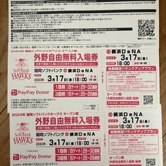 【ペア】野球 ソフトバンク 横浜DeNA 3月17日