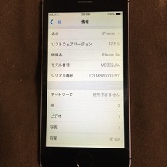 Apple iPhone 5sの画像
