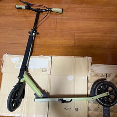 終了】【キックボード】大人用 Frenzy FR205DB(Dual Brake Japan Model