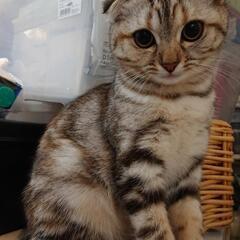 カテゴリに間違えました。すみません