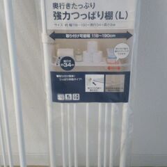 強力つっぱり棚 (供給が続く間)の画像