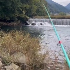 ニジマス釣り(箱根早川