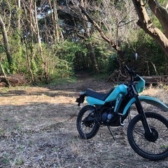 ヤマハ DT50 交換希望