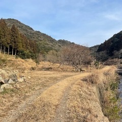 キャンプ場ヅクリしませんか！！仲間募集