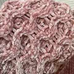 プティマインニットの画像